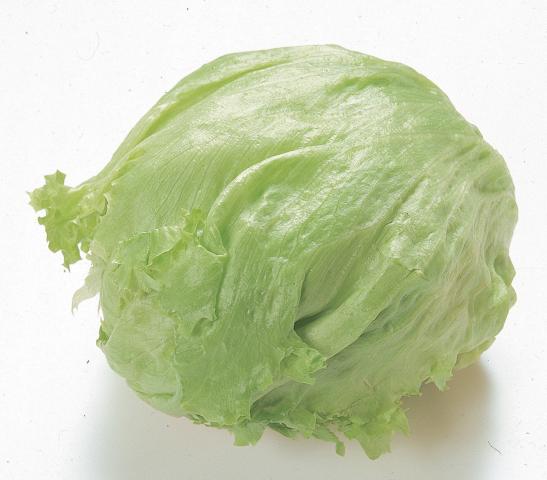 メイン食材画像