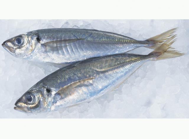 メイン食材画像