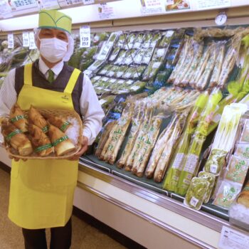 いよいよ春本番！「山菜」シーズンの到来です！