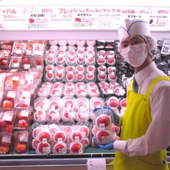 今年も「桃」の季節がやってきました！
