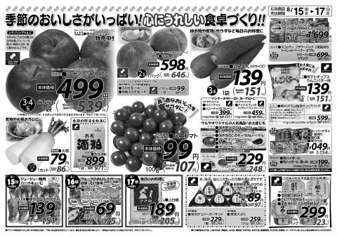 ツルヤチラシ2