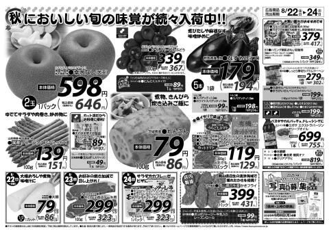 ツルヤチラシ2
