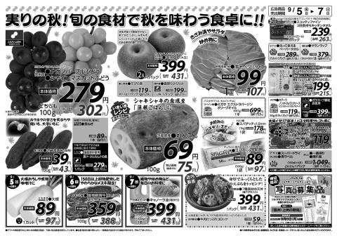 ツルヤチラシ2
