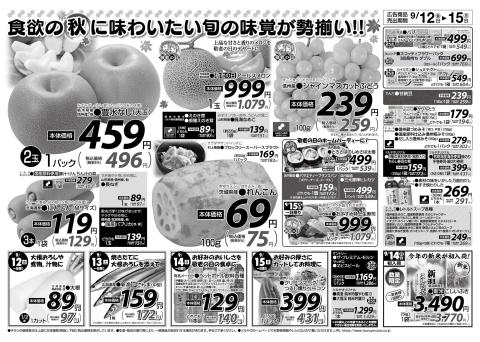 ツルヤチラシ2