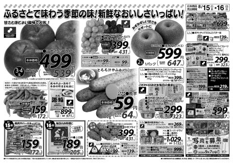 ツルヤチラシ2