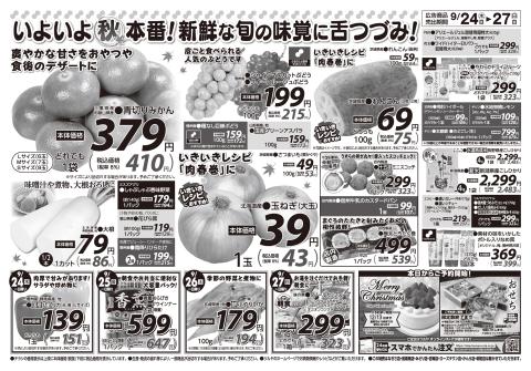 ツルヤチラシ2