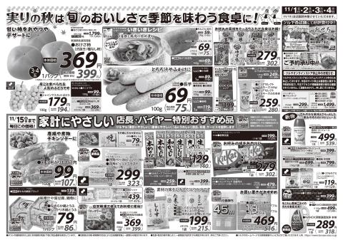 ツルヤチラシ2