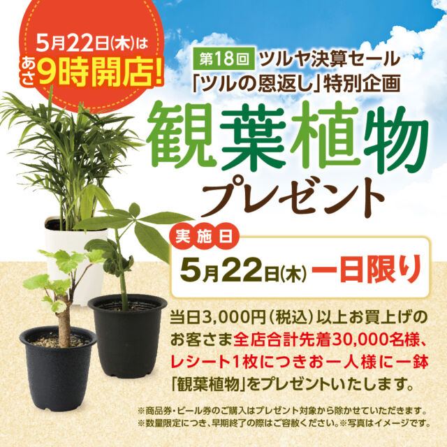 【2025.5.22 追記】好評につき、
「観葉植物」プレゼントは全店舗終了いたしました。

# 新鮮さわやかハーモニー ♪
スーパーマーケット #ツルヤ です🛒　

━━━━━━━━━━━━━
ツルヤ創業133周年
特別プレゼント企画🎁
━━━━━━━━━━━━━
ツルヤは今年 #創業133周年 を迎えさせていただきました。
永年のご愛顧への感謝を込めまして、来週5/22(木)より「#創業133周年ツルヤ決算セール」を開催いたします🎉

その特別企画の第一弾として、セール初日の５/２２(木)は毎年大好評の「 #観葉植物プレゼント 」を実施いたします🌳

５/２２(木)当日の「3,000円(税込)」以上お買い上げのレシート１枚につき、全店合計 先着30,000名様に、お一人様１鉢「観葉植物」をプレゼント！

５/２２(木)は朝９時より開店🙌
皆様のご来店を心よりお待ちしております☺

※数量限定品につき、予定数に達し次第終了となります。予めご了承ください。
※商品券・ビール券のご購入、専門店でのお買い上げは、プレゼントの対象から除かせていただきます。
※詳しくは店頭告知をご覧ください。
※写真はイメージです。

#TSURUYA
#スーパーマーケット
#supermarket
#スーパー
#ご愛顧ありがとうございます
#決算セール 
#133周年
#プレゼント企画 
#観葉植物
#緑のある生活 
#ご来店お待ちしております